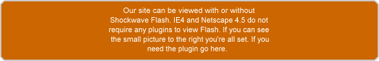 Our site can be viewed with or without 
Shockwave Flash. IE4 and Netscape 4.5 do not 
require any plugins to view Flash. If you can see
 the small picture to the right you're all set. If you 
need the plugin go here.